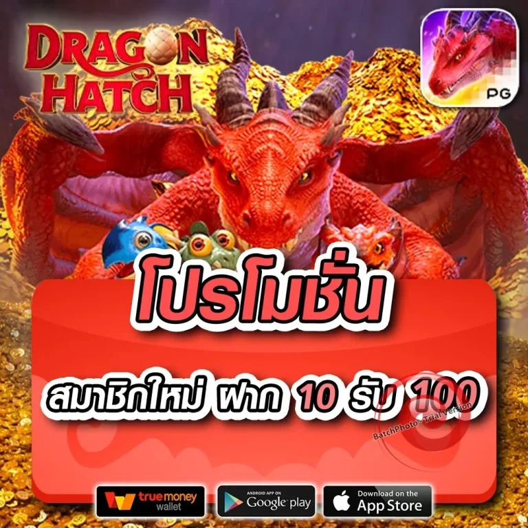 w299 เครดิตฟรี
